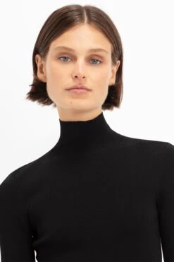 Victoria Beckham Polo Neck Knitted Top In Black -Victoria Beckham 02 1760 b