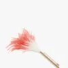 Victoria Beckham Feather Brooch In White-light Gold/cream-red