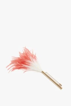 Victoria Beckham Feather Brooch In White-light Gold/cream-red