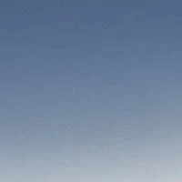 Victoria Beckham V Plaque Frame Sunglasses In Dark Brown Horn 6 Victoria Beckham V Plaque Frame Sunglasses In Dark Brown Horn - Image 6